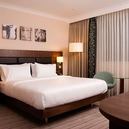 Hilton Garden 4* رشيشوف