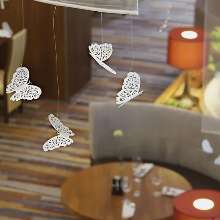 Hilton Garden رشيشوف