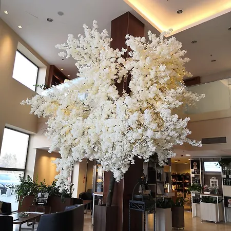 泽佐夫希尔顿花园酒店 酒店