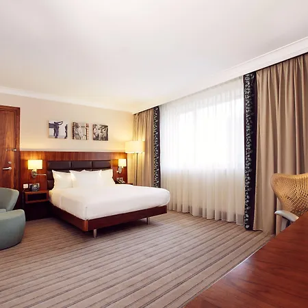 Hilton Garden رشيشوف