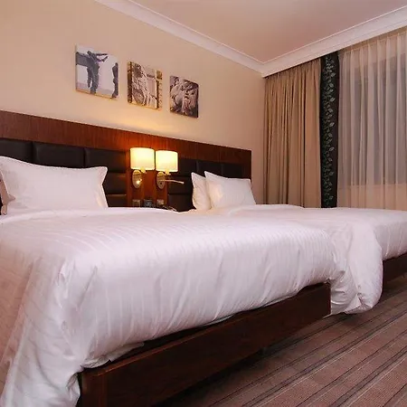 Hilton Garden فندق