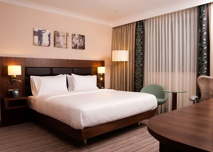 Hilton Garden 4* رشيشوف